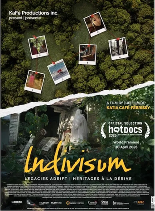 INDIVISUM